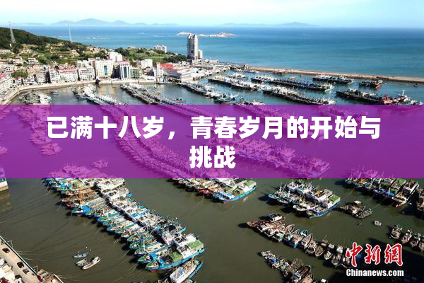 已满十八岁，青春岁月的开始与挑战