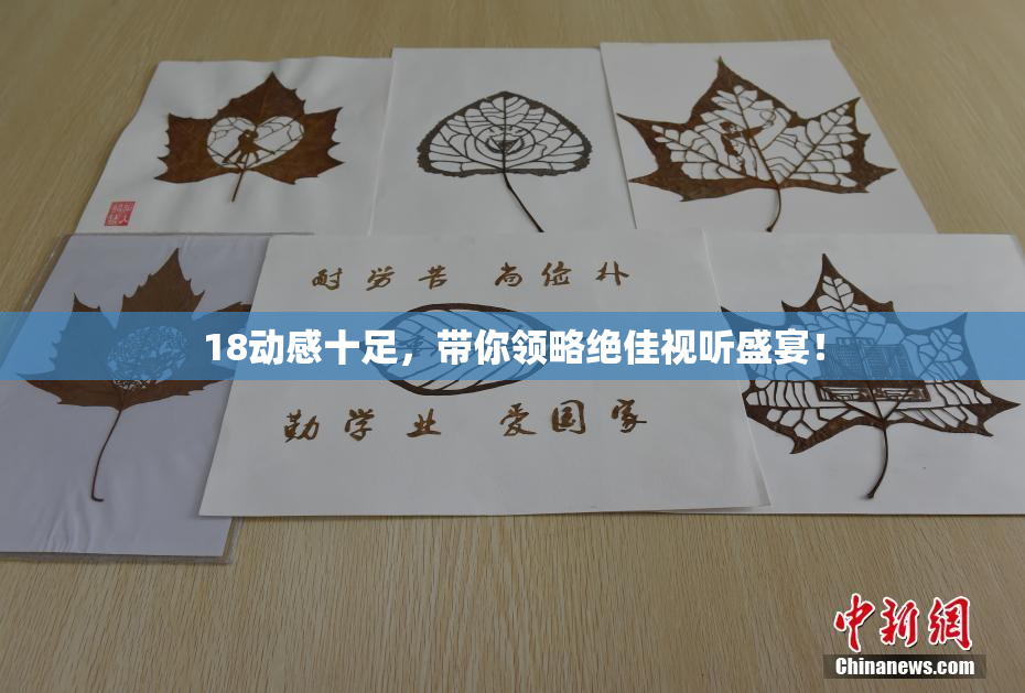 18动感十足，带你领略绝佳视听盛宴！