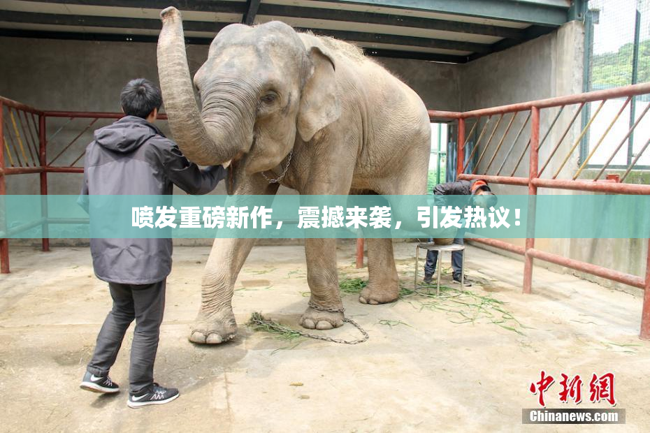喷发重磅新作，震撼来袭，引发热议！