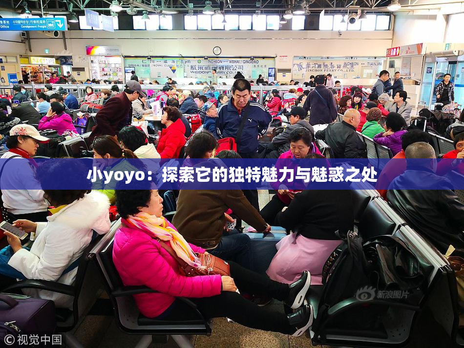 小yoyo：探索它的独特魅力与魅惑之处