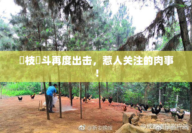 狛枝凪斗再度出击，惹人关注的肉事！