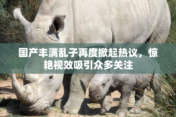 国产丰满乱子再度掀起热议，惊艳视效吸引众多关注
