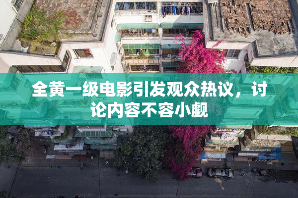 全黄一级电影引发观众热议，讨论内容不容小觑