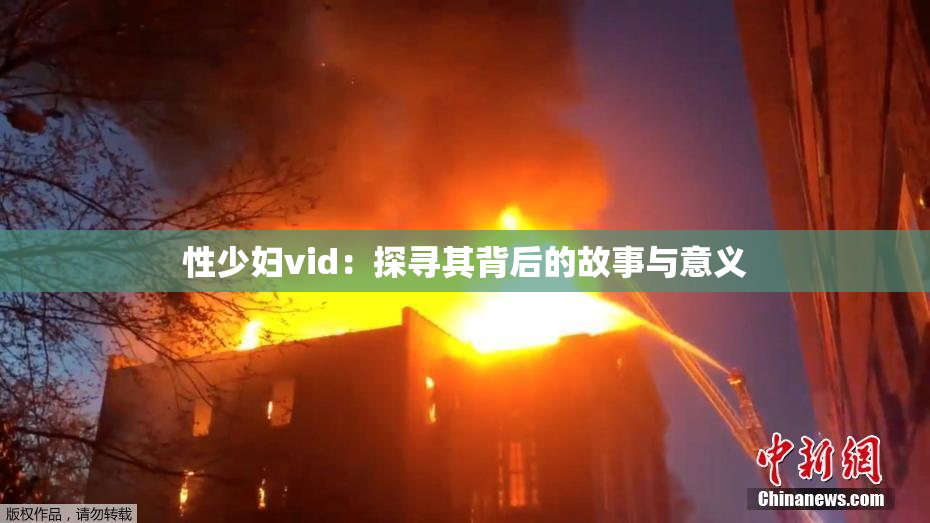 性少妇vid：探寻其背后的故事与意义