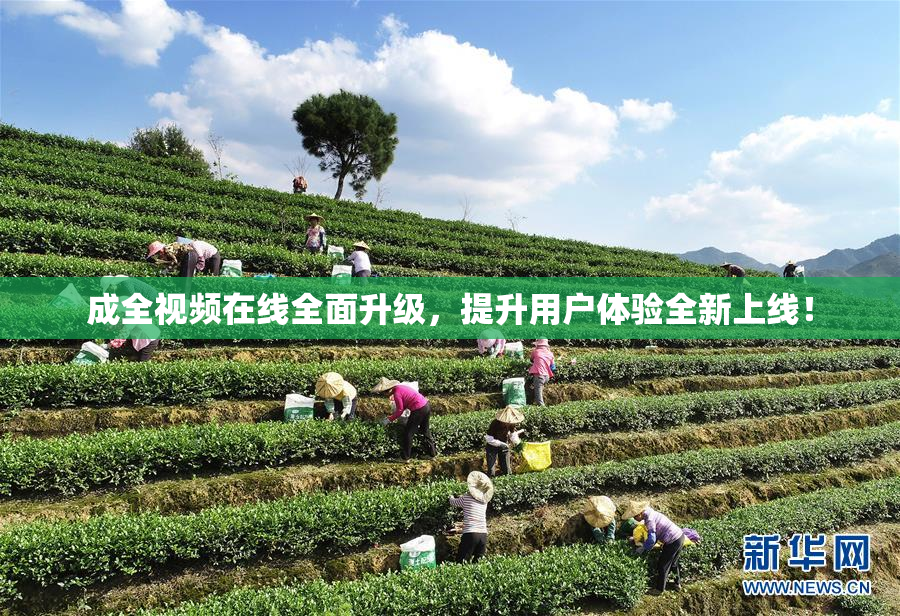 成全视频在线全面升级，提升用户体验全新上线！