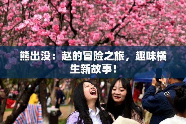 熊出没：赵的冒险之旅，趣味横生新故事！