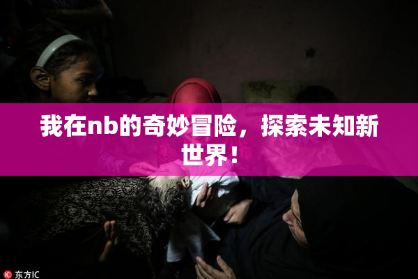我在nb的奇妙冒险，探索未知新世界！
