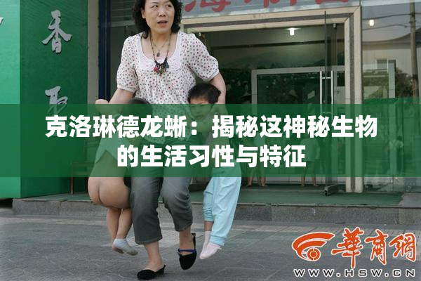 克洛琳德龙蜥：揭秘这神秘生物的生活习性与特征