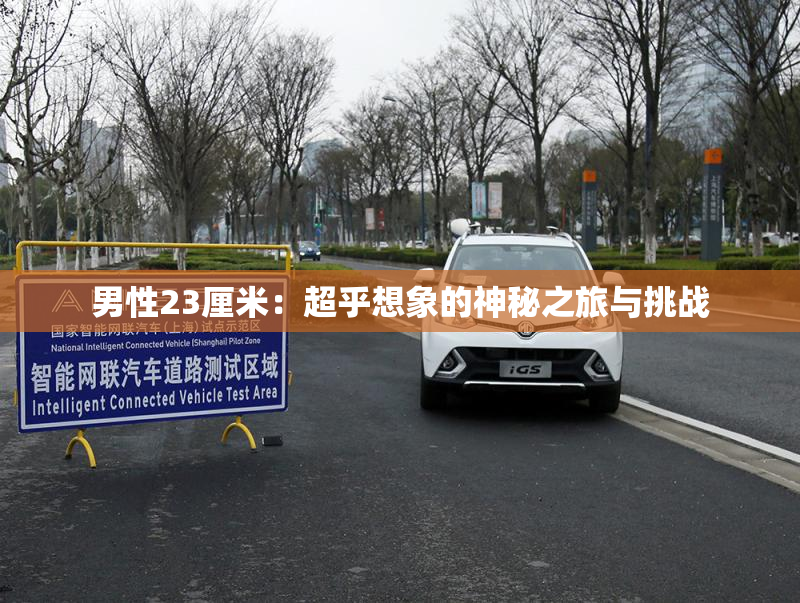 男性23厘米：超乎想象的神秘之旅与挑战