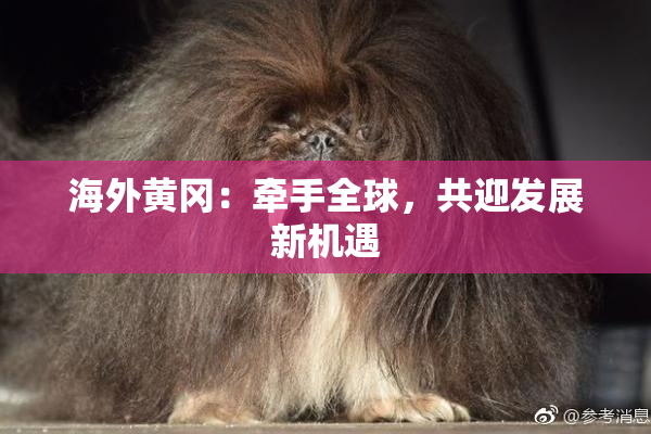 海外黄冈：牵手全球，共迎发展新机遇