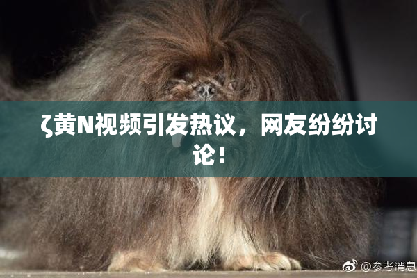 ζ黄Ν视频引发热议，网友纷纷讨论！