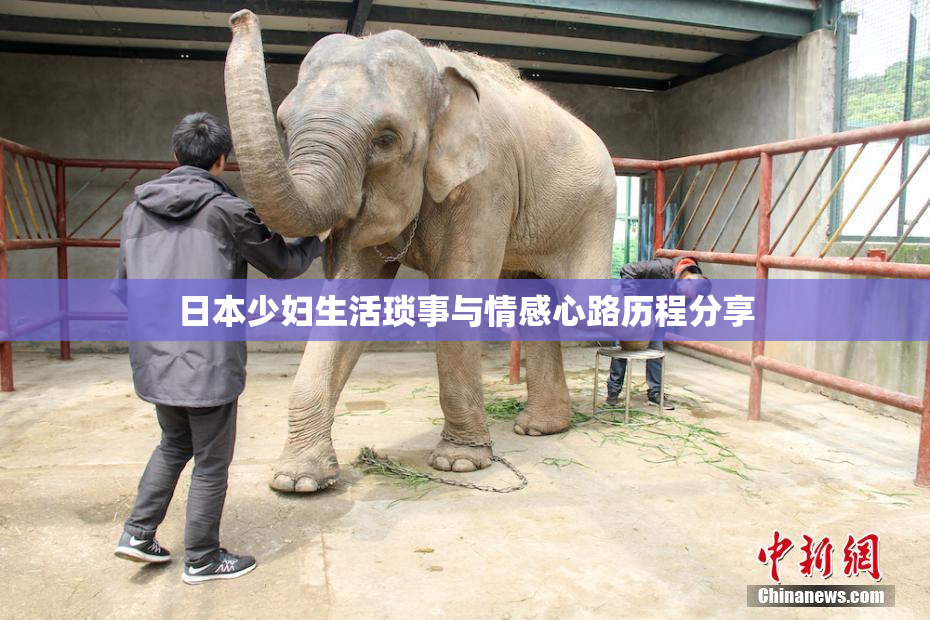 日本少妇生活琐事与情感心路历程分享