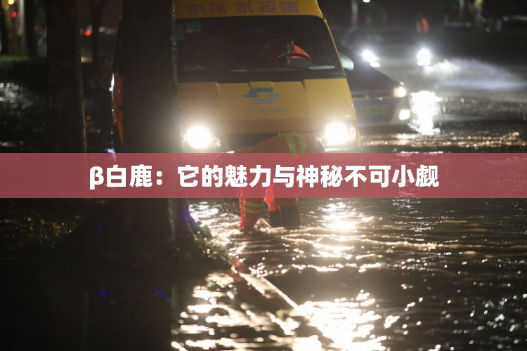 β白鹿：它的魅力与神秘不可小觑