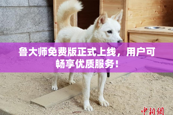 鲁大师免费版正式上线，用户可畅享优质服务！