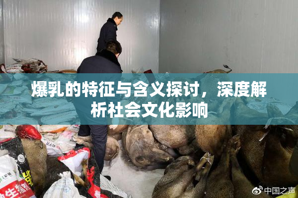 爆乳的特征与含义探讨，深度解析社会文化影响