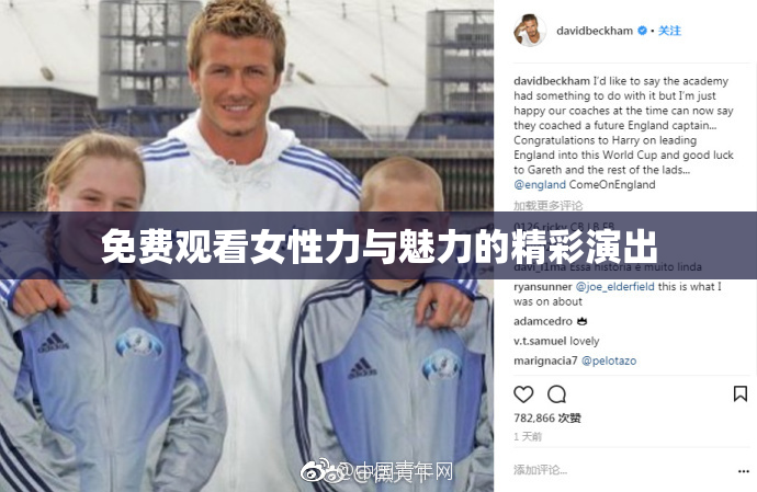 免费观看女性力与魅力的精彩演出
