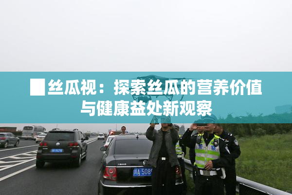 ▉丝瓜视：探索丝瓜的营养价值与健康益处新观察