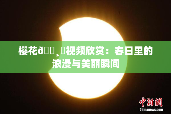 樱花🌸‌视频欣赏：春日里的浪漫与美丽瞬间