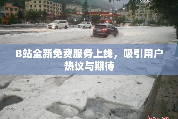 B站全新免费服务上线，吸引用户热议与期待