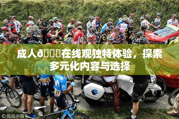 成人🔞在线观独特体验，探索多元化内容与选择