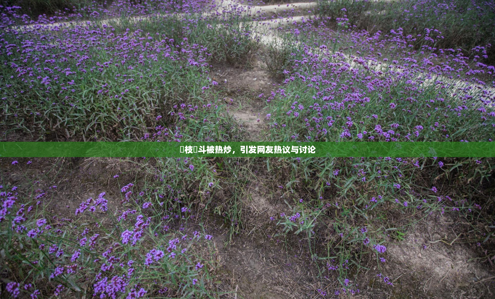 狛枝凪斗被热炒，引发网友热议与讨论