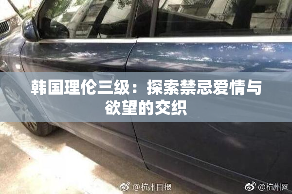 韩国理伦三级：探索禁忌爱情与欲望的交织