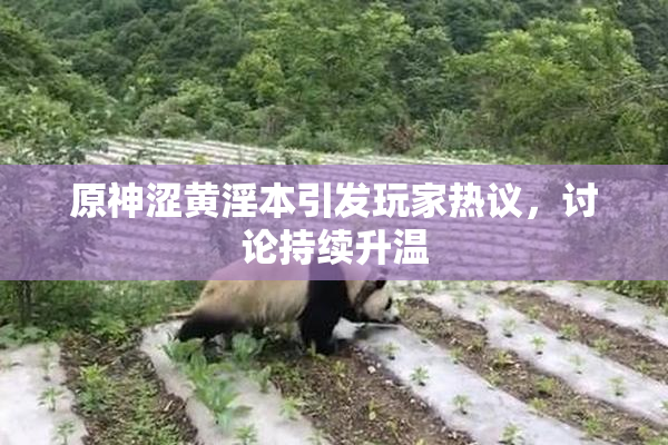 原神涩黄淫本引发玩家热议，讨论持续升温