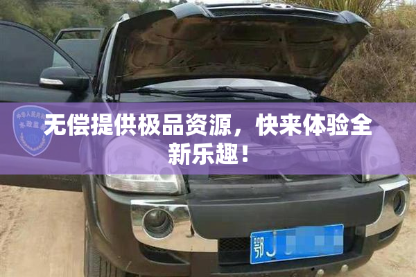 无偿提供极品资源，快来体验全新乐趣！