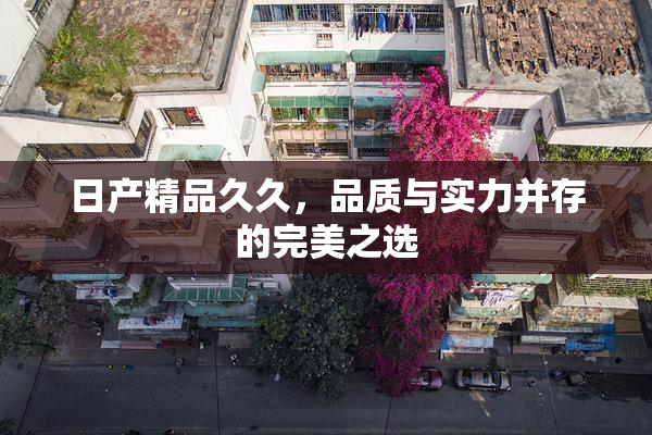 日产精品久久，品质与实力并存的完美之选