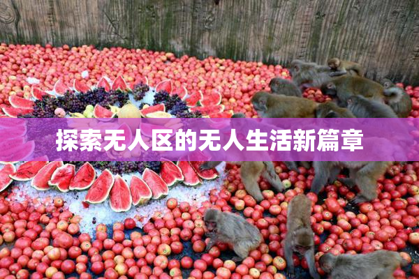 探索无人区的无人生活新篇章