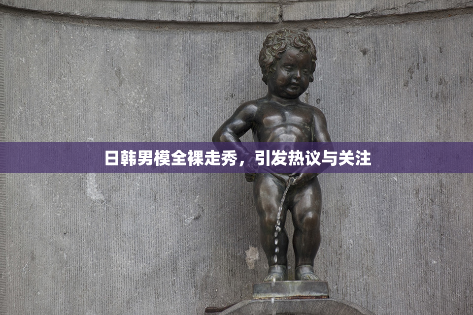 日韩男模全裸走秀，引发热议与关注