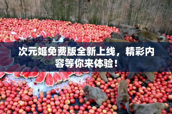 次元姬免费版全新上线，精彩内容等你来体验！