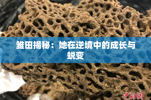 雏田揭秘：她在逆境中的成长与蜕变