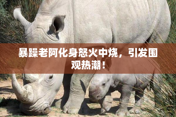 暴躁老阿化身怒火中烧，引发围观热潮！