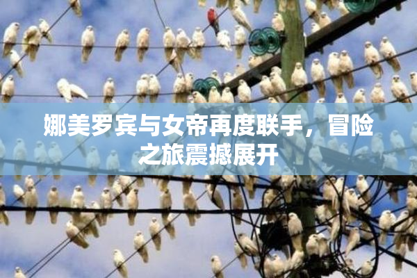娜美罗宾与女帝再度联手，冒险之旅震撼展开