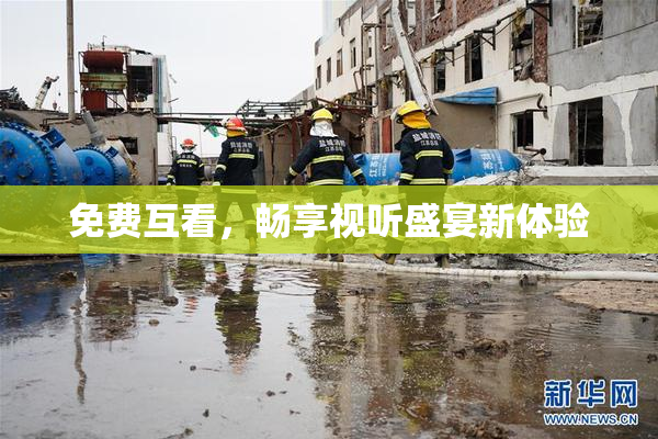免费互看，畅享视听盛宴新体验