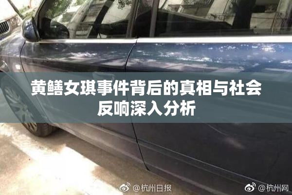 黄鳝女琪事件背后的真相与社会反响深入分析