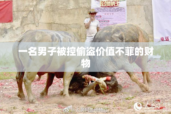 一名男子被控偷盗价值不菲的财物