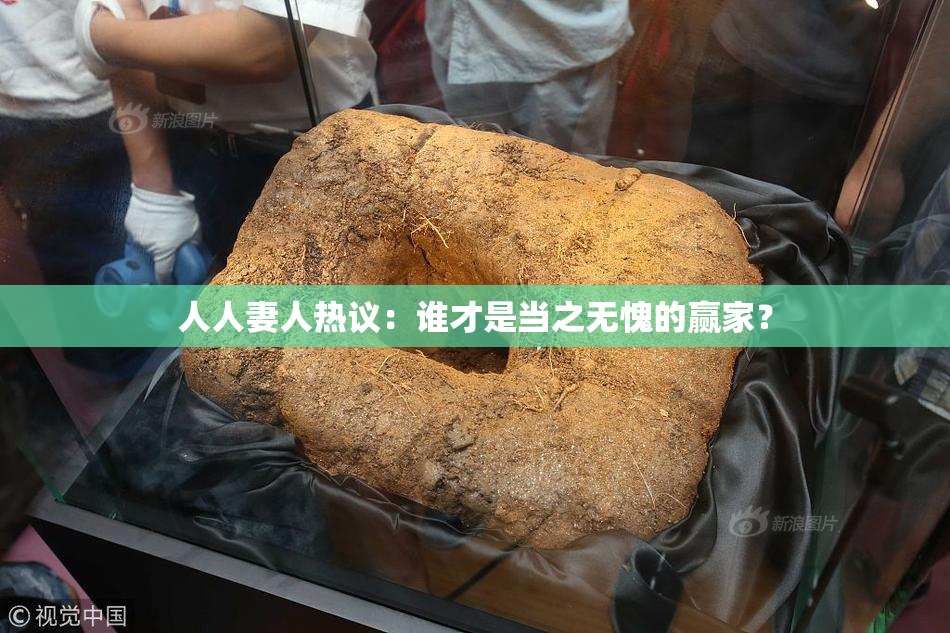 人人妻人热议：谁才是当之无愧的赢家？