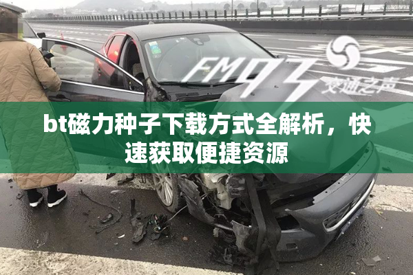 bt磁力种子下载方式全解析，快速获取便捷资源