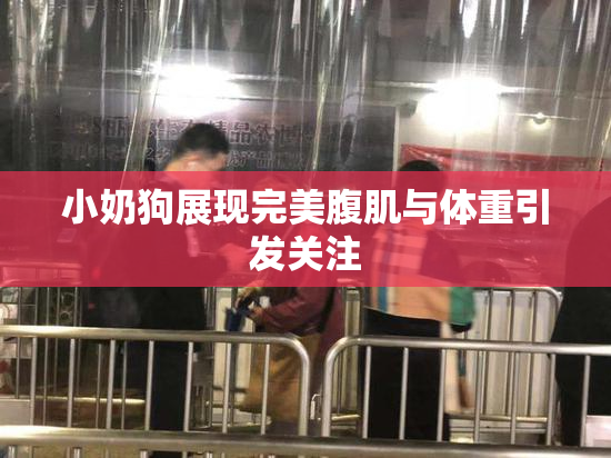小奶狗展现完美腹肌与体重引发关注