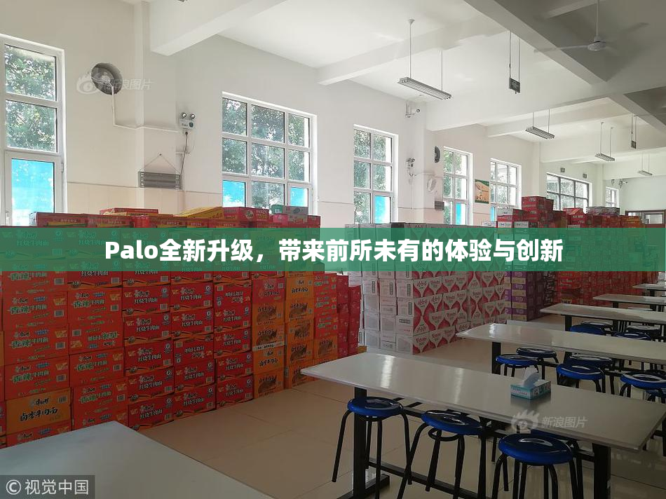 Palo全新升级，带来前所未有的体验与创新