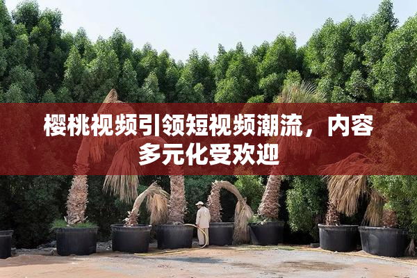 樱桃视频引领短视频潮流，内容多元化受欢迎