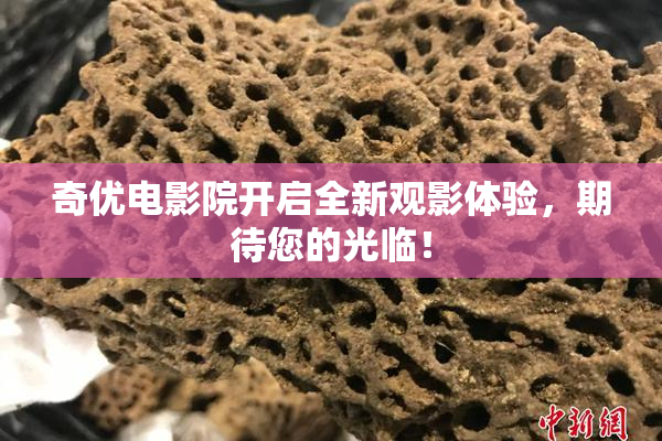 奇优电影院开启全新观影体验，期待您的光临！