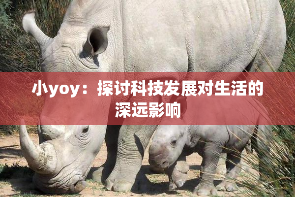 小yoy：探讨科技发展对生活的深远影响