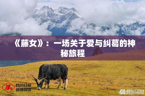 《藤女》：一场关于爱与纠葛的神秘旅程