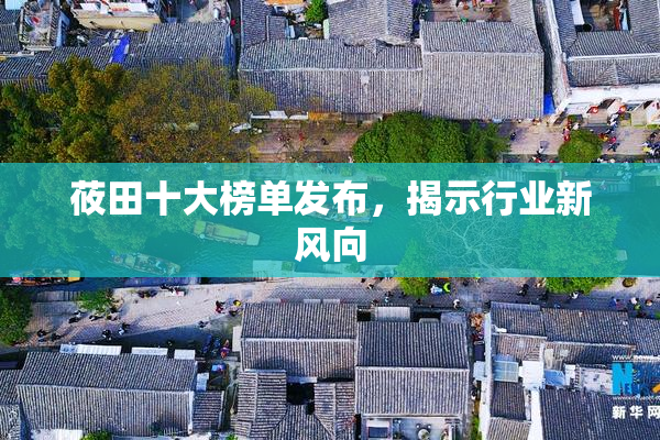 莜田十大榜单发布，揭示行业新风向