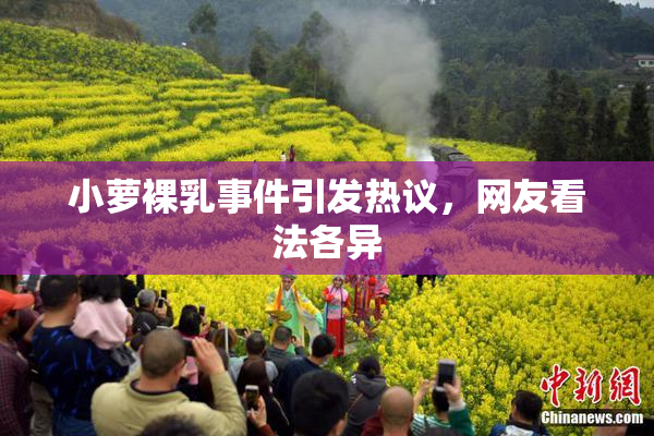 小萝裸乳事件引发热议，网友看法各异