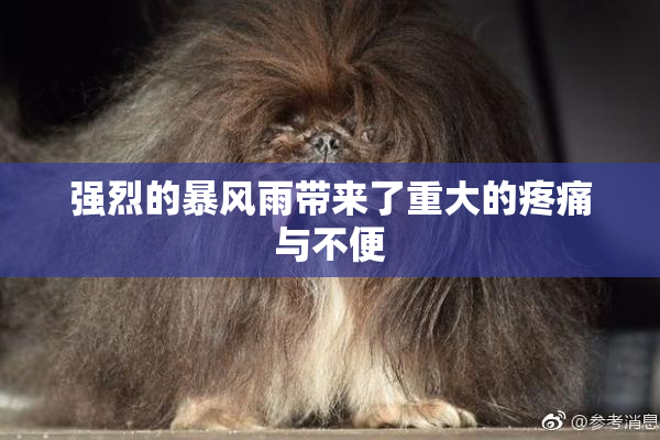 强烈的暴风雨带来了重大的疼痛与不便