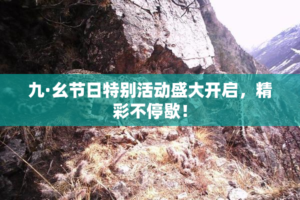 九·幺节日特别活动盛大开启，精彩不停歇！